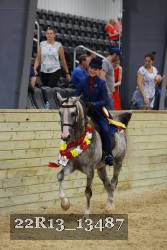 22R13_13487 thumbnail