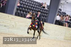 22R13_13490 thumbnail