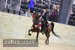 22R13_13494 thumbnail