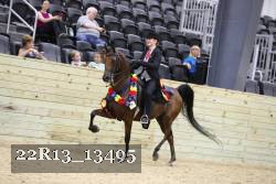 22R13_13495 thumbnail