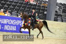 22R13_13496 thumbnail