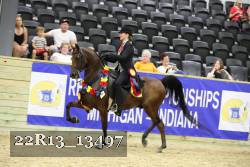 22R13_13497 thumbnail