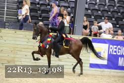 22R13_13498 thumbnail