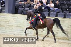 22R13_13499 thumbnail