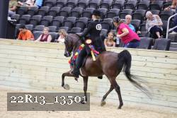 22R13_13501 thumbnail
