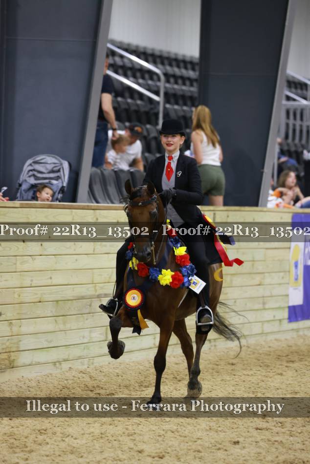 Proof Number 22R13_13502