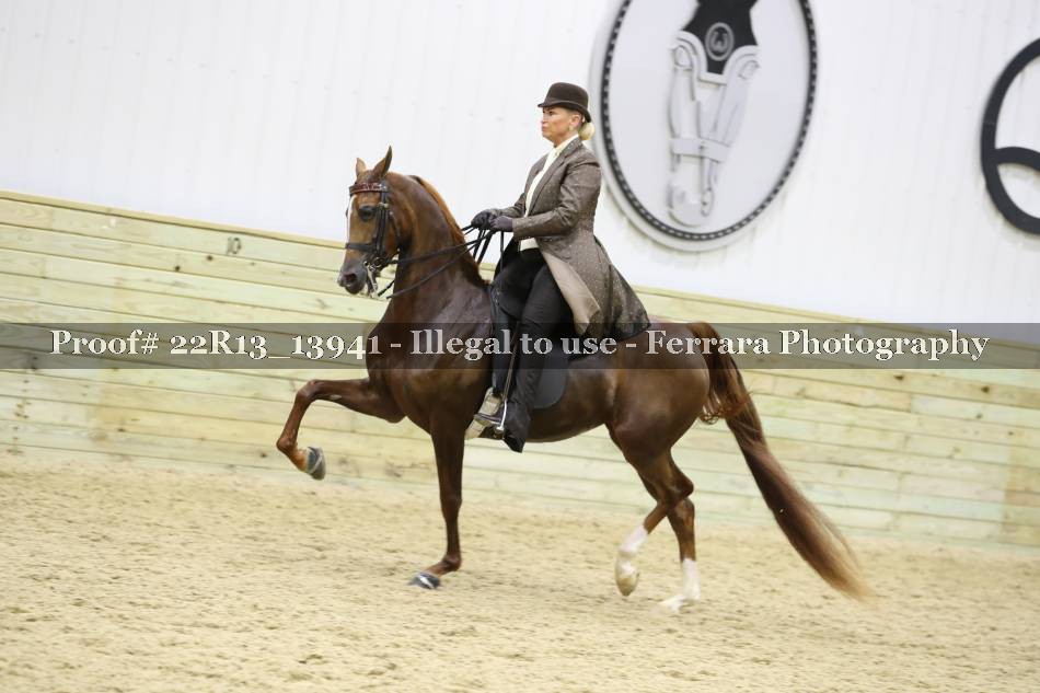 Proof Number 22R13_13941