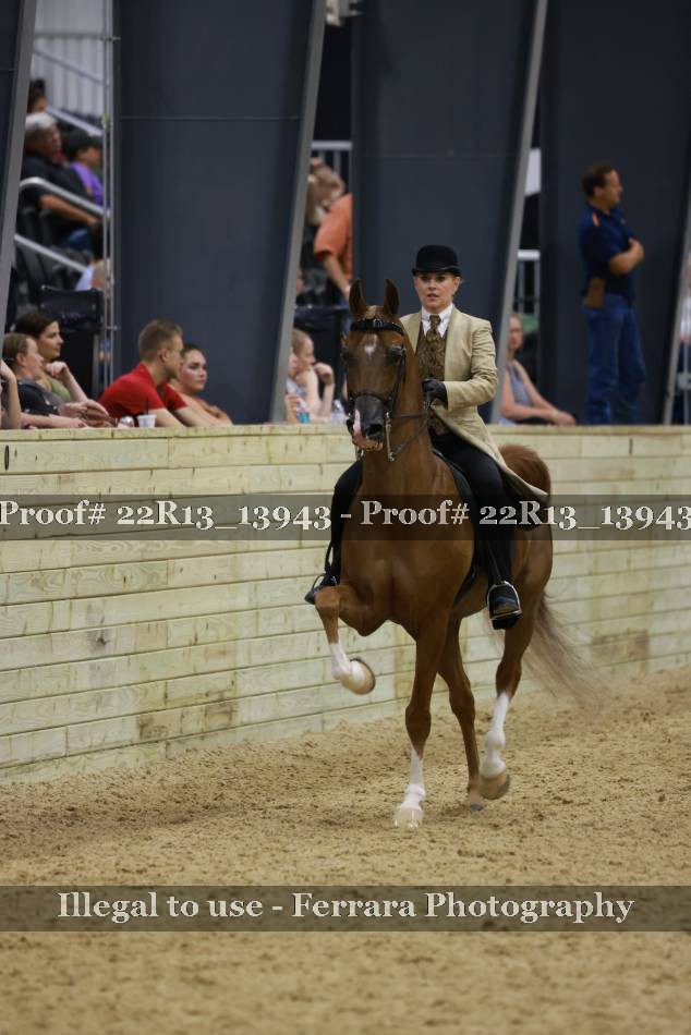 Proof Number 22R13_13943