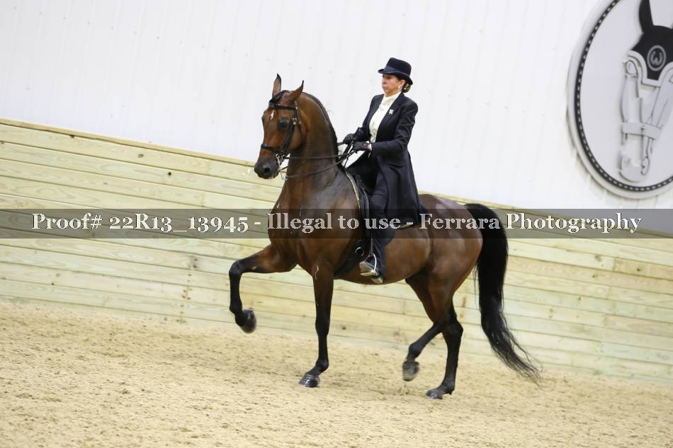 Proof Number 22R13_13945