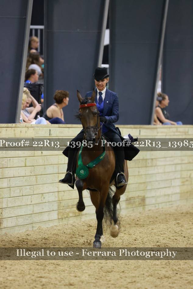 Proof Number 22R13_13985
