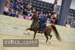 22R13_13990 thumbnail