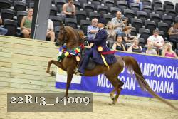 22R13_14009 thumbnail