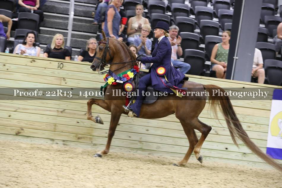 Proof Number 22R13_14010
