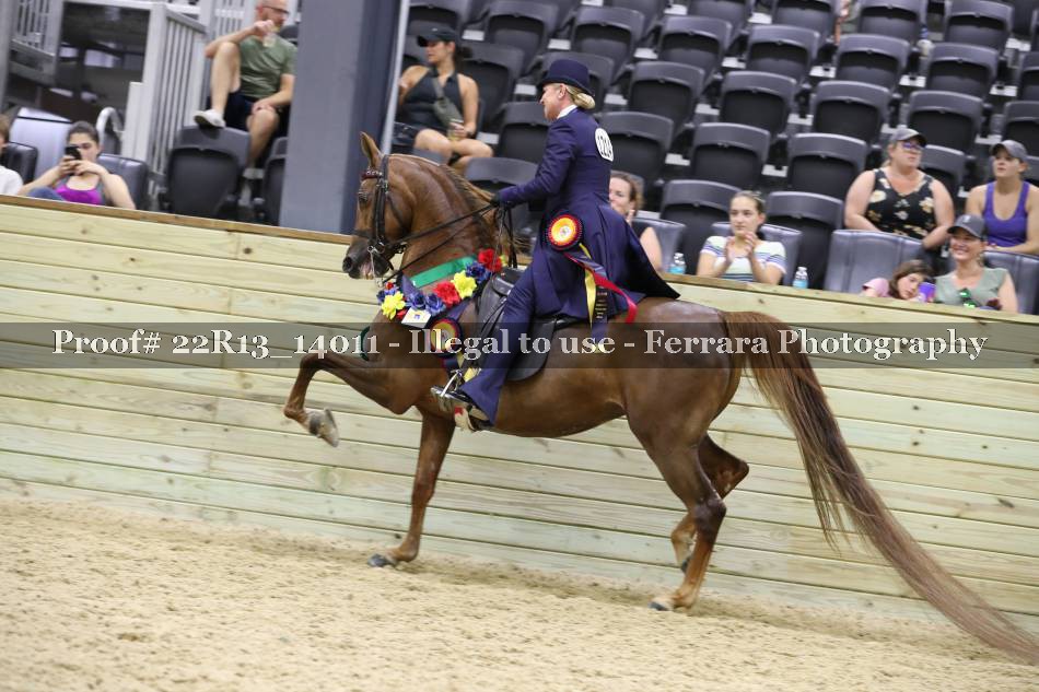 Proof Number 22R13_14011