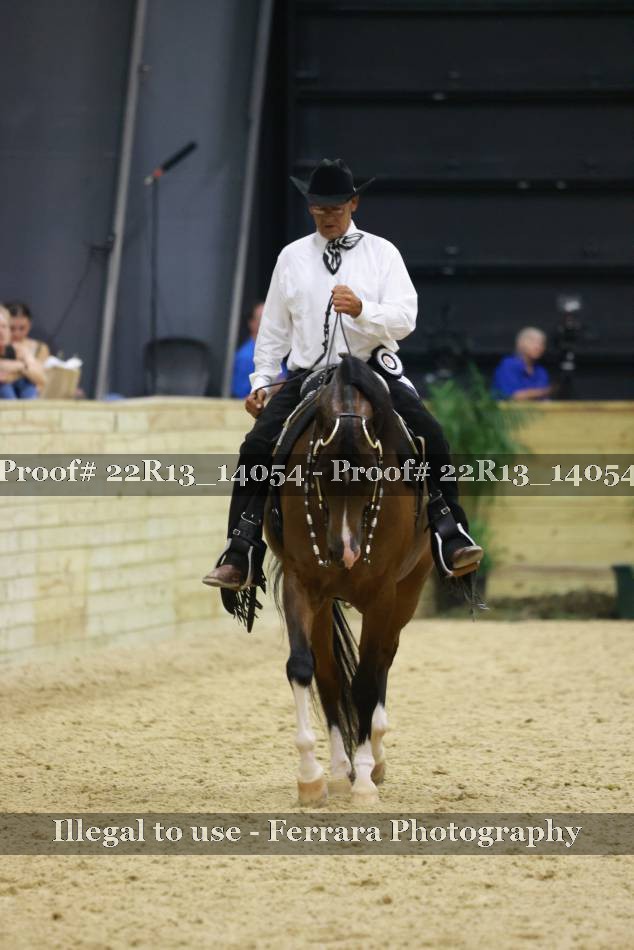 Proof Number 22R13_14054