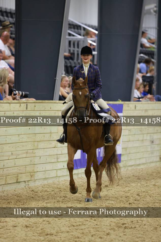 Proof Number 22R13_14158