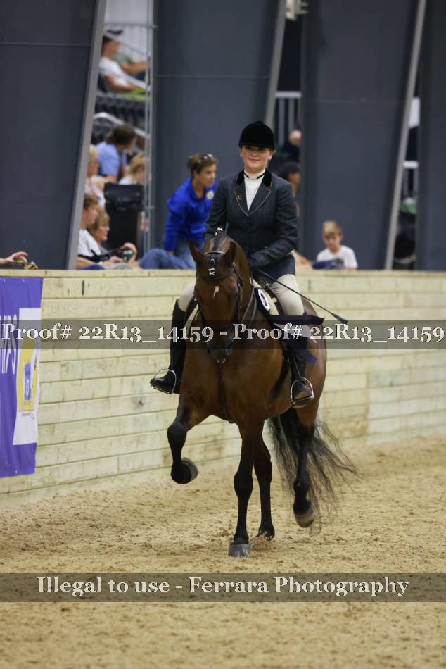 Proof Number 22R13_14159