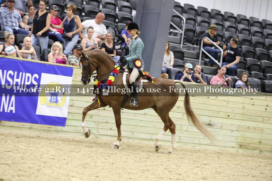 Proof Number 22R13_14174