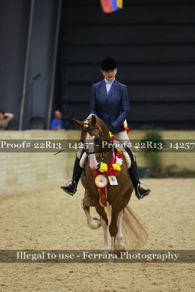 Proof Number 22R13_14257
