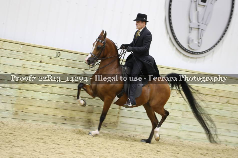 Proof Number 22R13_14294