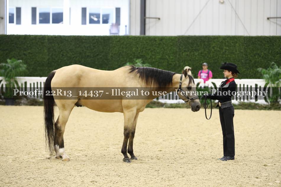 Proof Number 22R13_14437