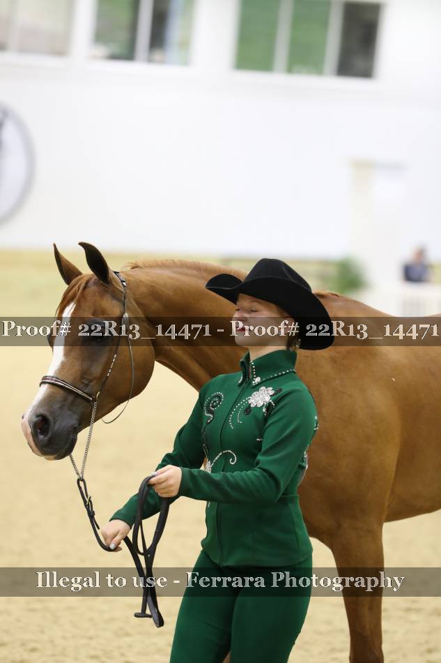 Proof Number 22R13_14471