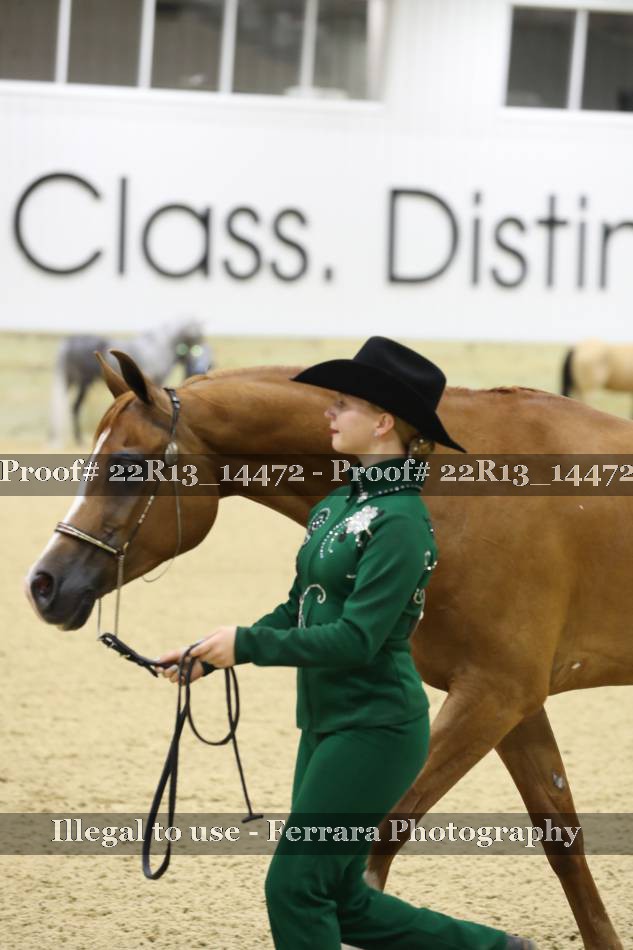 Proof Number 22R13_14472