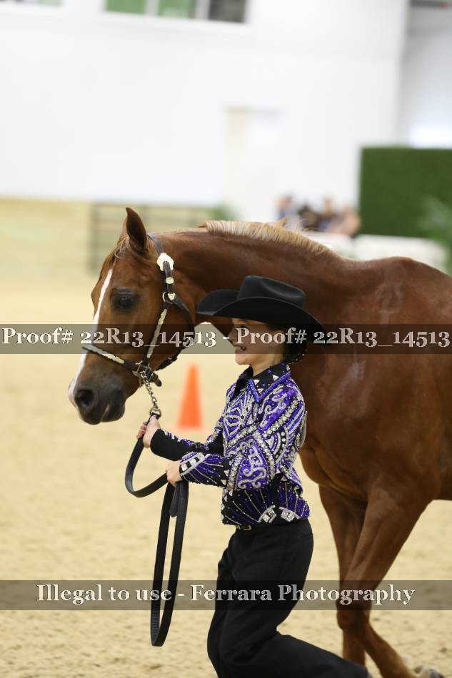 Proof Number 22R13_14513