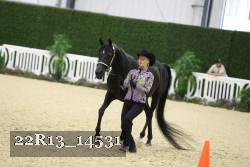 22R13_14531 thumbnail