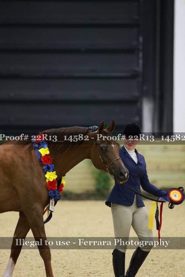 Proof Number 22R13_14582