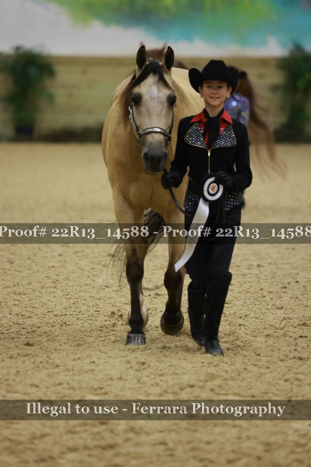 Proof Number 22R13_14588