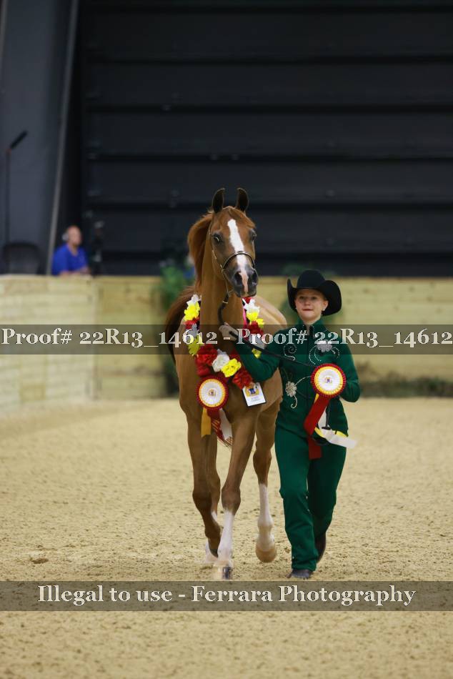 Proof Number 22R13_14612