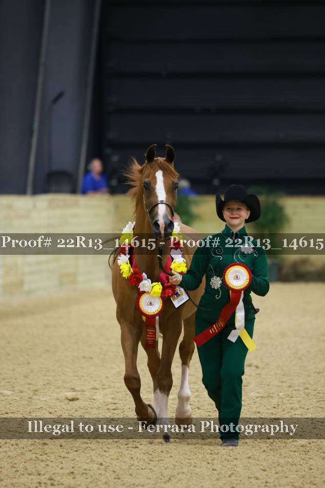 Proof Number 22R13_14615