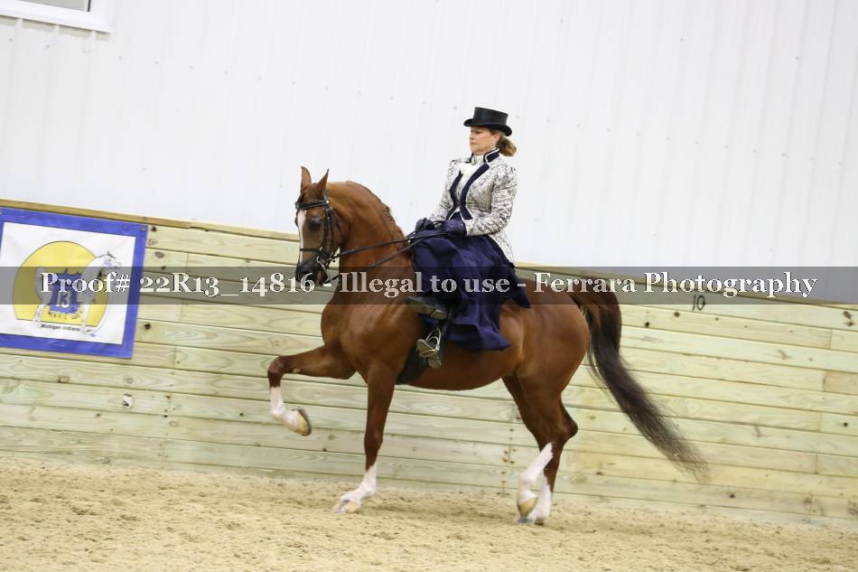 Proof Number 22R13_14816