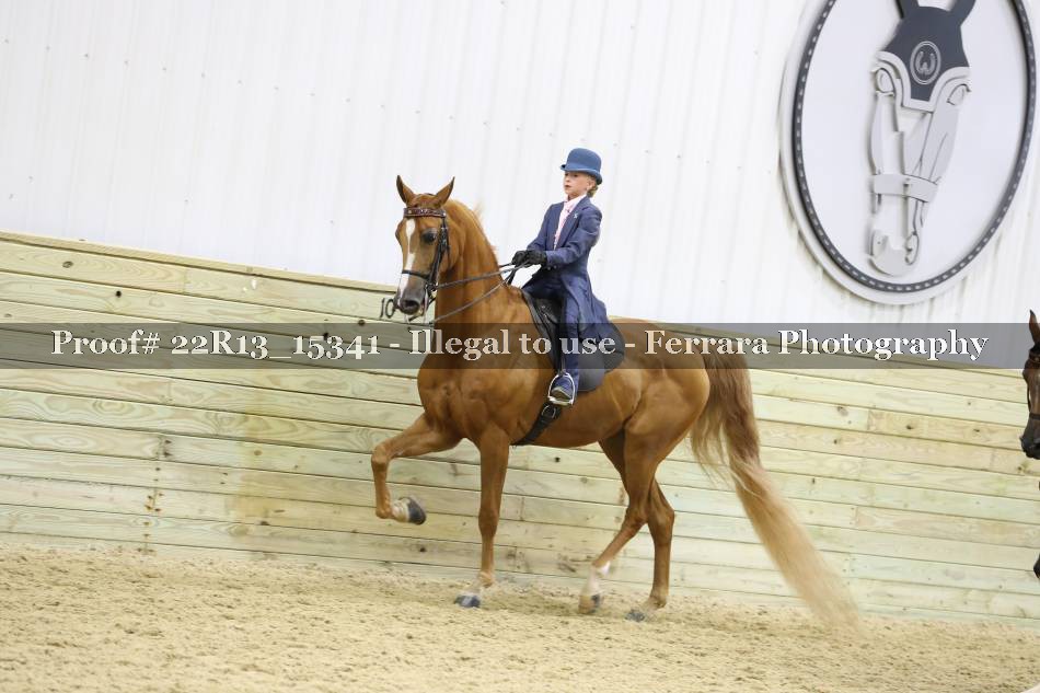 Proof Number 22R13_15341
