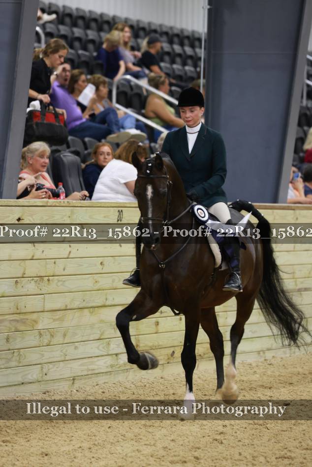 Proof Number 22R13_15862