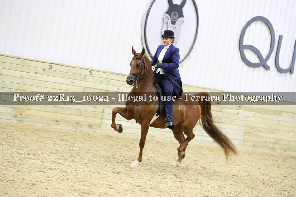 Proof Number 22R13_16024