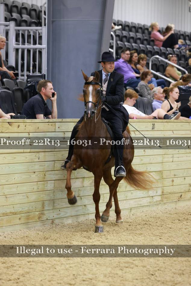 Proof Number 22R13_16031