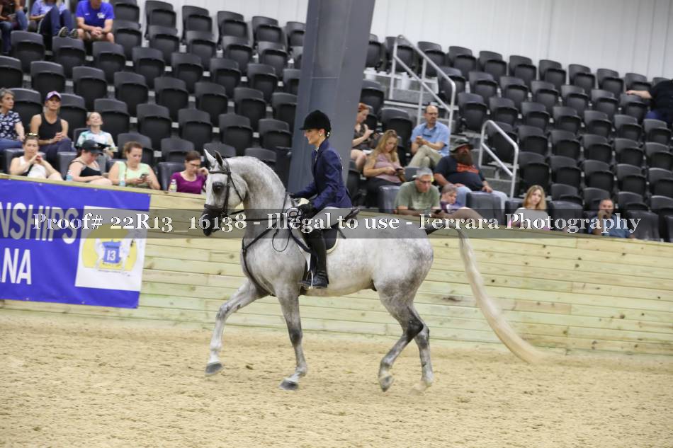 Proof Number 22R13_16138