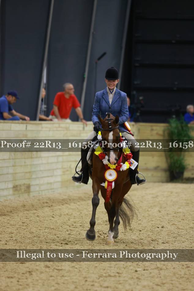 Proof Number 22R13_16158
