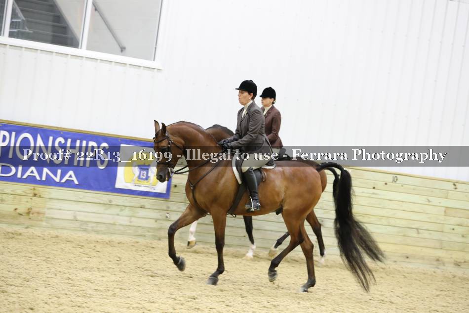 Proof Number 22R13_16199
