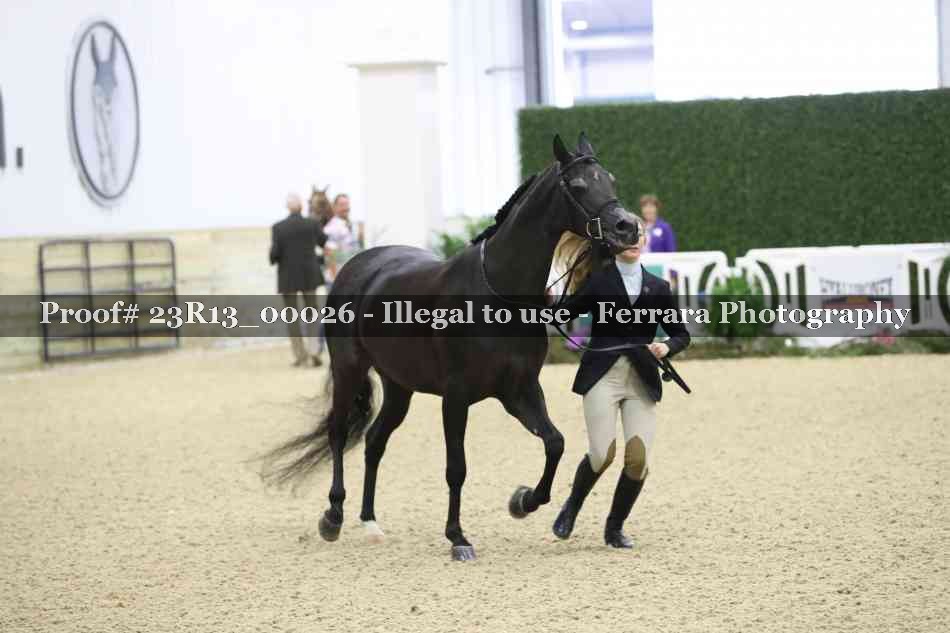 Proof Number 23R13_00026