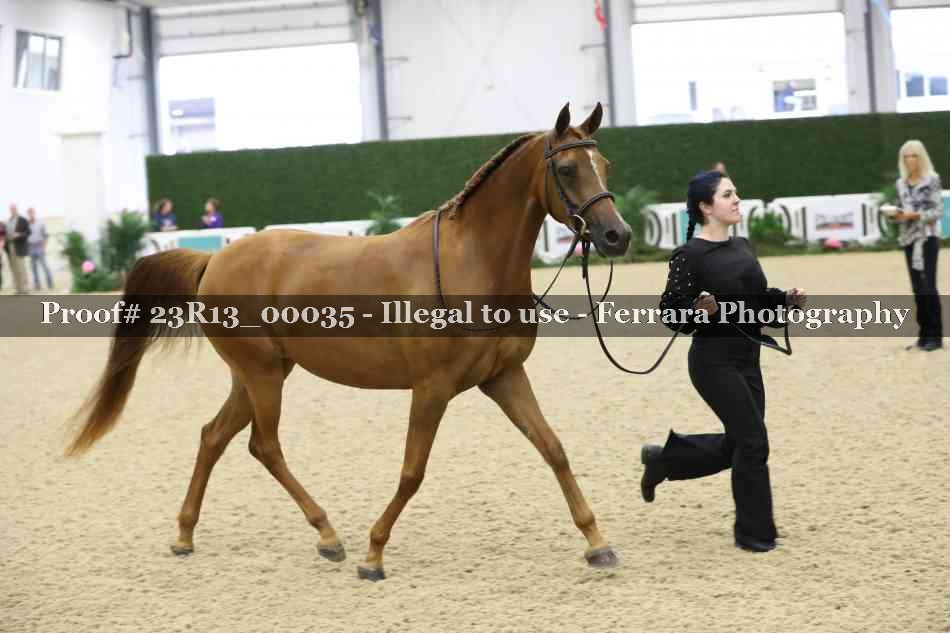 Proof Number 23R13_00035