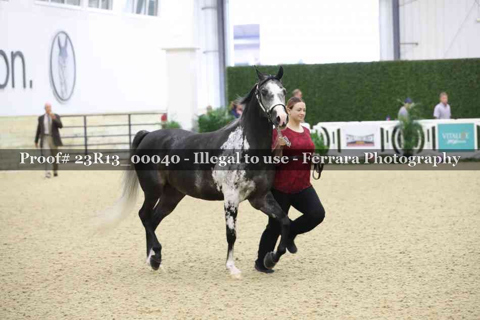 Proof Number 23R13_00040