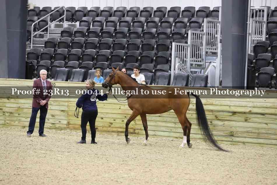 Proof Number 23R13_00044