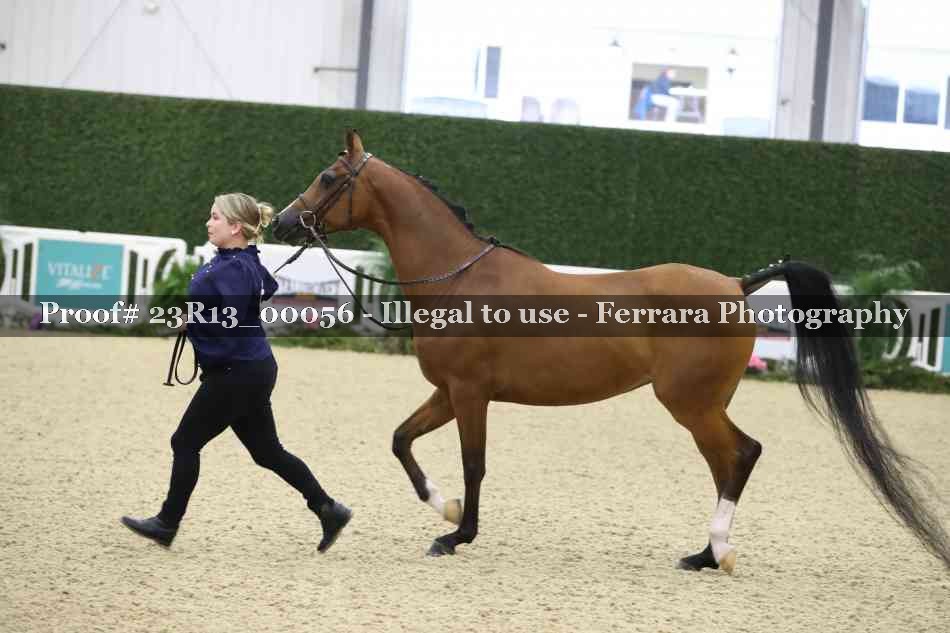 Proof Number 23R13_00056