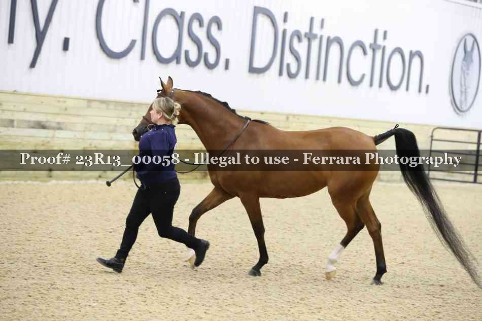 Proof Number 23R13_00058