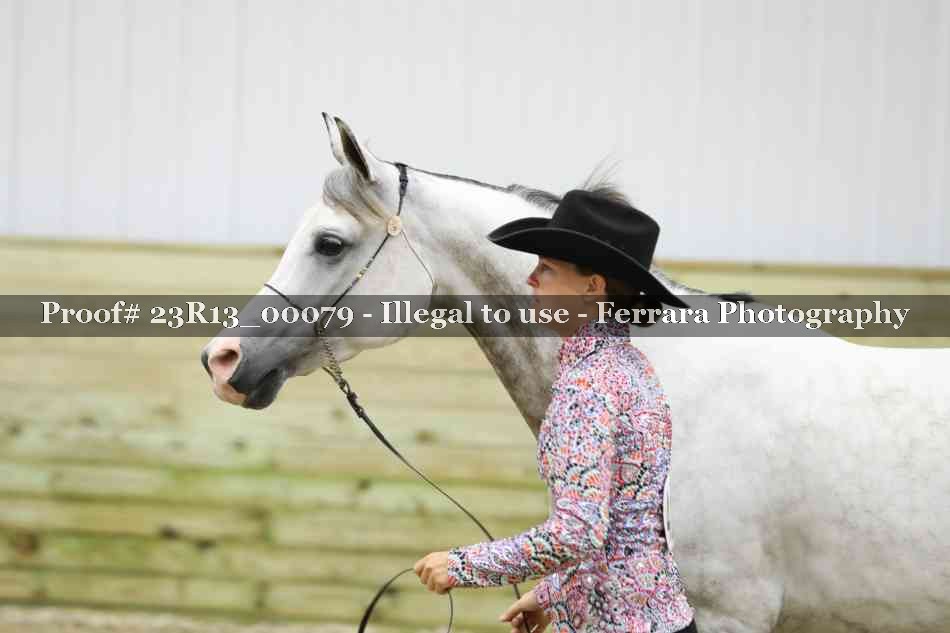 Proof Number 23R13_00079