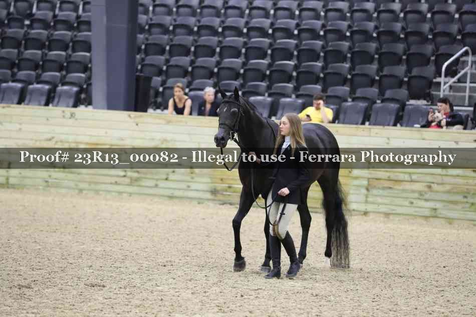 Proof Number 23R13_00082