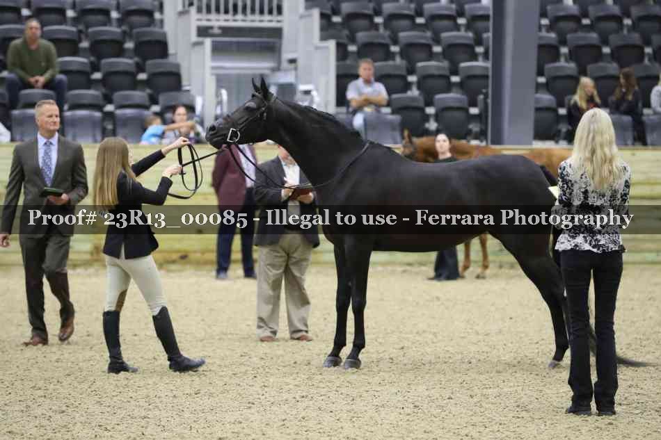 Proof Number 23R13_00085